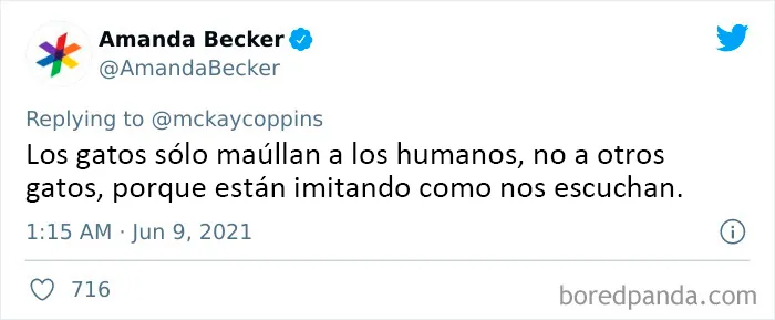 Este padre preguntó en Internet sobre datos interesantes que contar a sus 2 hijos, y recibió estas 20 respuestas