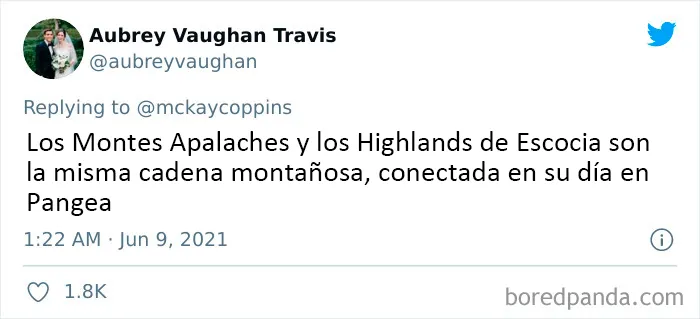 Este padre preguntó en Internet sobre datos interesantes que contar a sus 2 hijos, y recibió estas 20 respuestas