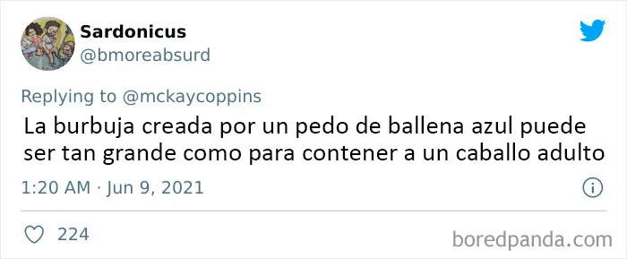 Este padre preguntó en Internet sobre datos interesantes que contar a sus 2 hijos, y recibió estas 20 respuestas