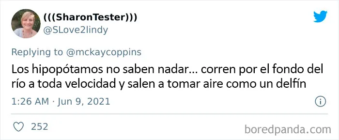 Este padre preguntó en Internet sobre datos interesantes que contar a sus 2 hijos, y recibió estas 20 respuestas