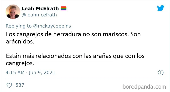 Este padre preguntó en Internet sobre datos interesantes que contar a sus 2 hijos, y recibió estas 20 respuestas