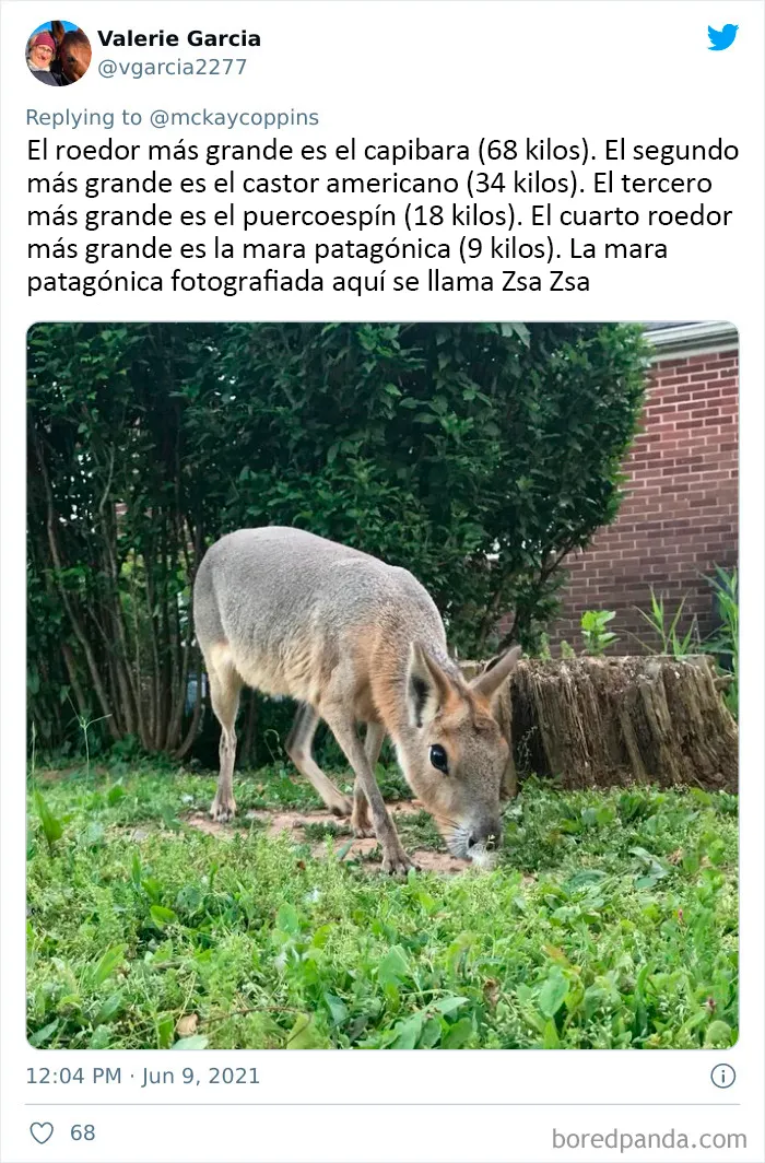 Este padre preguntó en Internet sobre datos interesantes que contar a sus 2 hijos, y recibió estas 20 respuestas