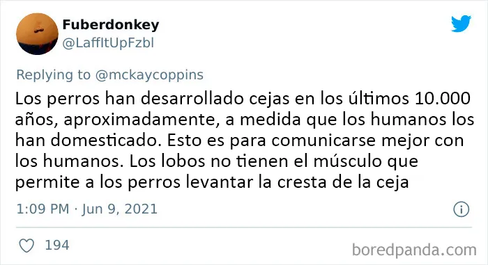 Este padre preguntó en Internet sobre datos interesantes que contar a sus 2 hijos, y recibió estas 20 respuestas