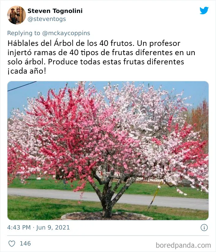 Este padre preguntó en Internet sobre datos interesantes que contar a sus 2 hijos, y recibió estas 20 respuestas