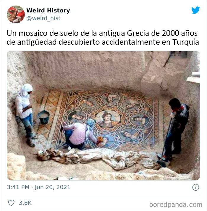 20 Nuevas publicaciones raras e interesantes de la cuenta de "Weird History", para que aprender sea divertido a cualquier edad