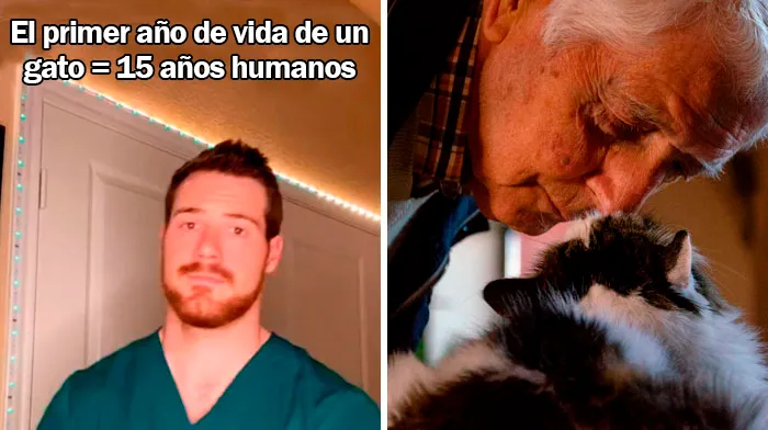 Este veterinario da 20 consejos útiles y poco conocidos para el cuidado de las mascotas