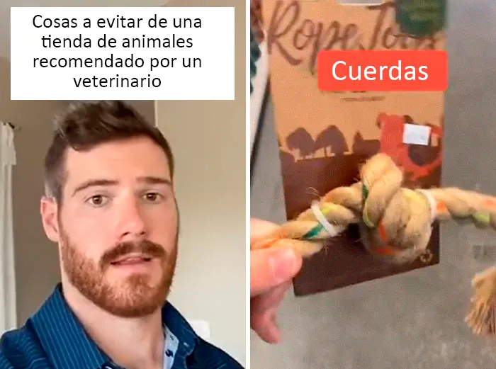 Este veterinario da 20 consejos útiles y poco conocidos para el cuidado de las mascotas