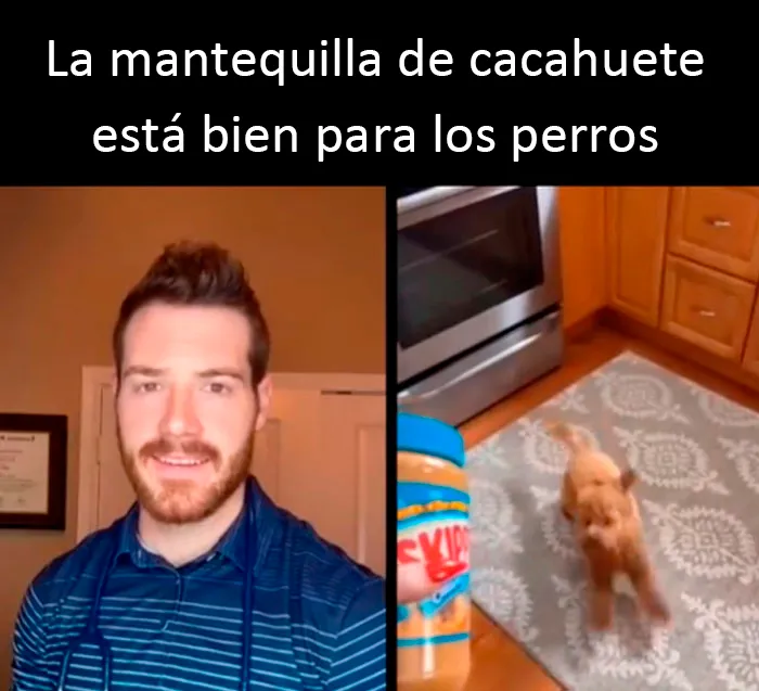 Este veterinario da 20 consejos útiles y poco conocidos para el cuidado de las mascotas