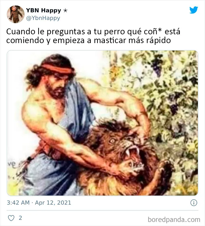 20 Auténticos memes sobre lo que es tener perro