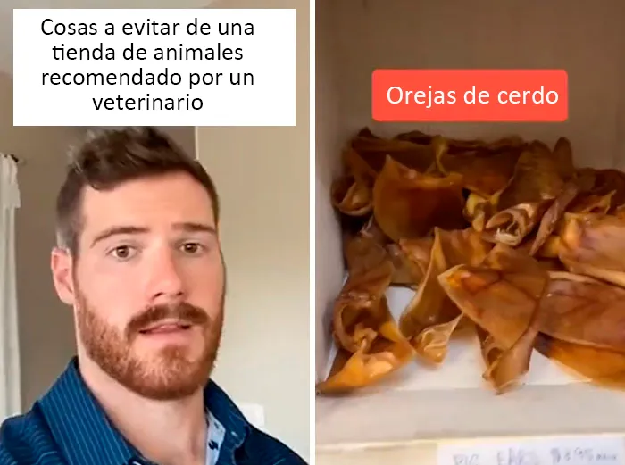 Este veterinario da 20 consejos útiles y poco conocidos para el cuidado de las mascotas