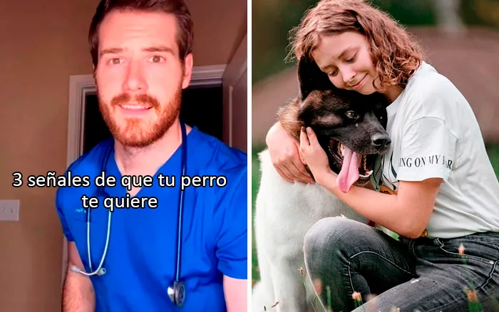 Este veterinario da 20 consejos útiles y poco conocidos para el cuidado de las mascotas