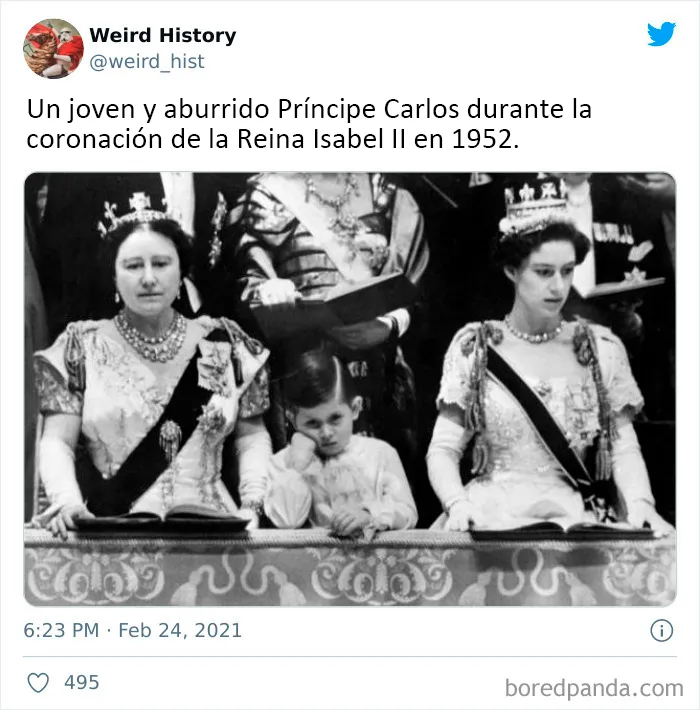 20 Nuevas publicaciones raras e interesantes de la cuenta de "Weird History", para que aprender sea divertido a cualquier edad