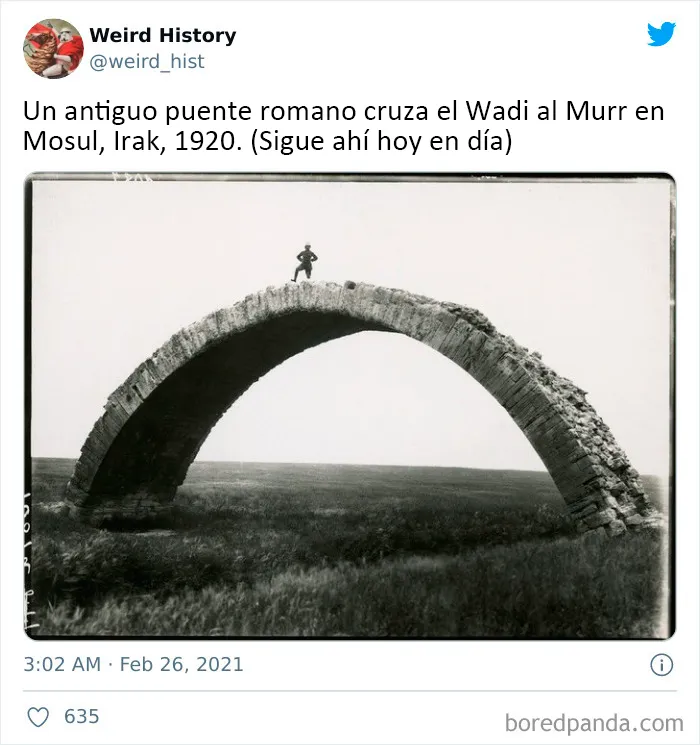 20 Nuevas publicaciones raras e interesantes de la cuenta de "Weird History", para que aprender sea divertido a cualquier edad