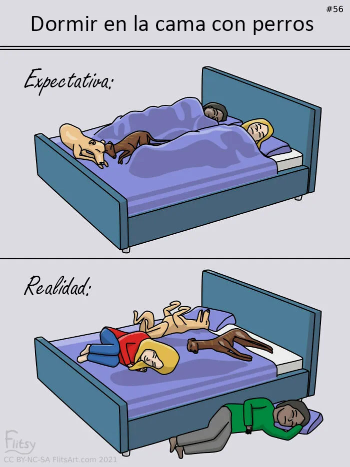 20 Auténticos memes sobre lo que es tener perro