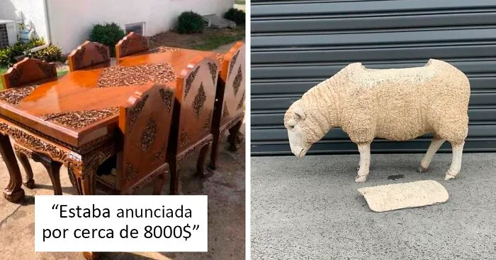50 Personas que no podían creer su suerte en las tiendas de segunda mano (nuevas fotos)