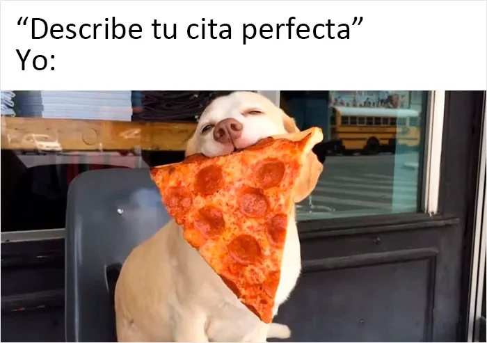 20 Auténticos memes sobre lo que es tener perro