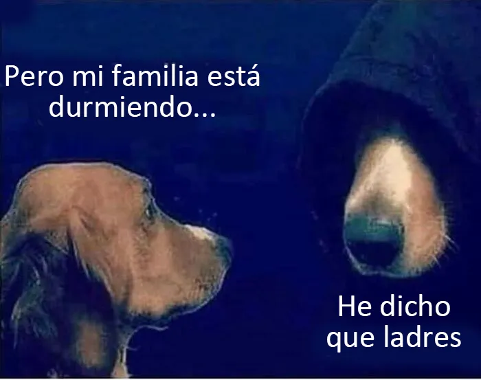 20 Auténticos memes sobre lo que es tener perro