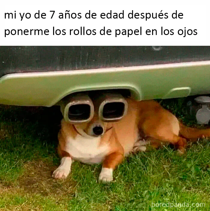 Me veo bien con los rollos de papel
