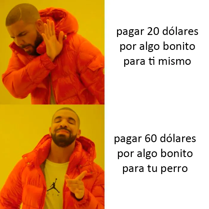 20 Auténticos memes sobre lo que es tener perro