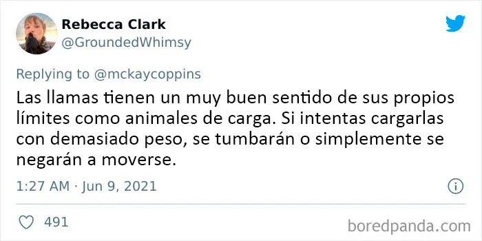 Este padre preguntó en Internet sobre datos interesantes que contar a sus 2 hijos, y recibió estas 20 respuestas
