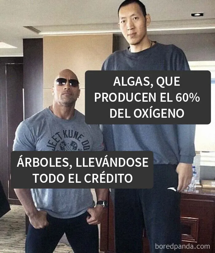 18 Ingeniosos memes científicos que combinan perfectamente humor y conocimiento
