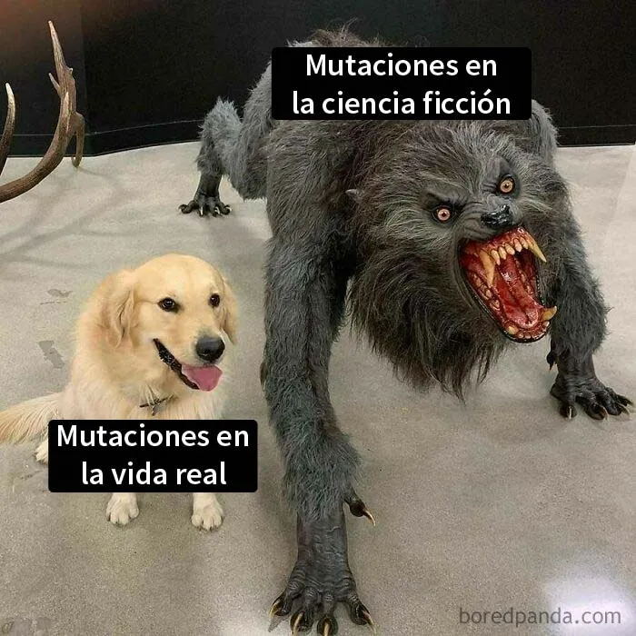 18 Ingeniosos memes científicos que combinan perfectamente humor y conocimiento