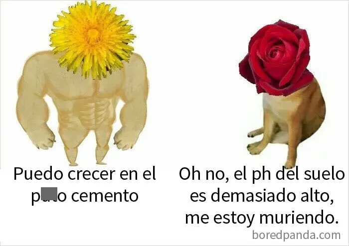 18 Ingeniosos memes científicos que combinan perfectamente humor y conocimiento