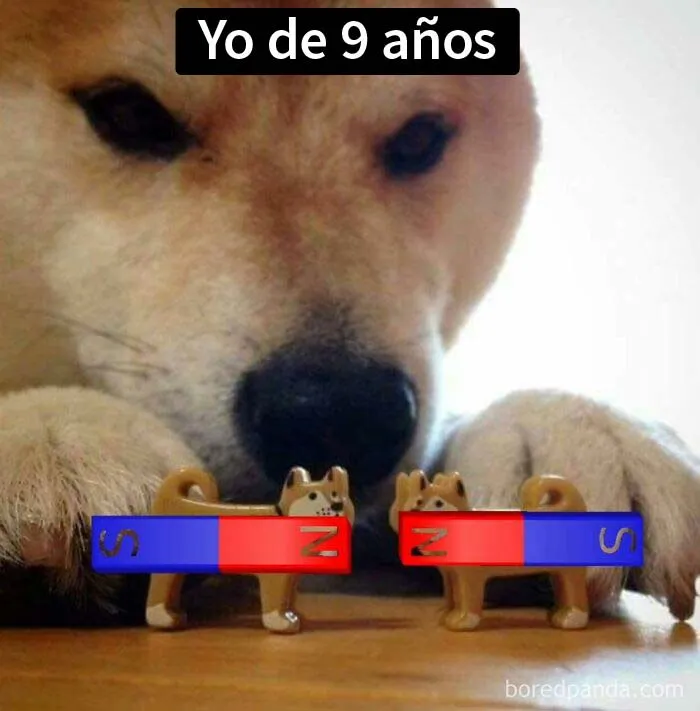 18 Ingeniosos memes científicos que combinan perfectamente humor y conocimiento