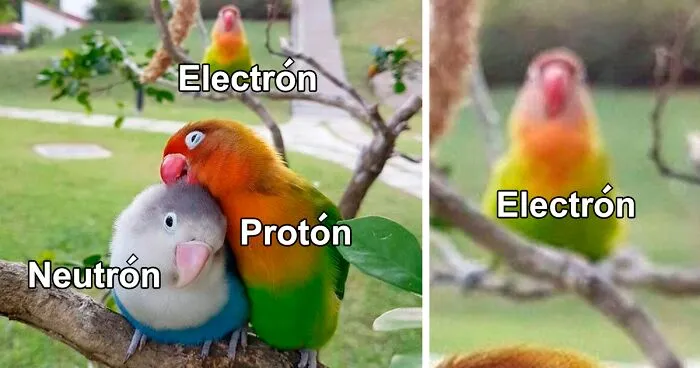 18 Ingeniosos memes científicos que combinan perfectamente humor y conocimiento