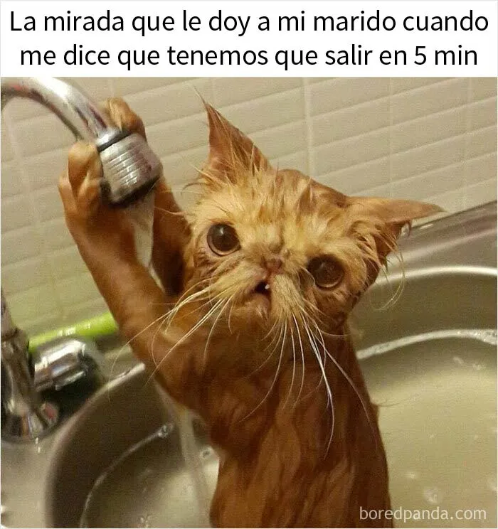 15 Divertidísimos memes que resumen a la perfección la vida de casados (nuevas imágenes)
