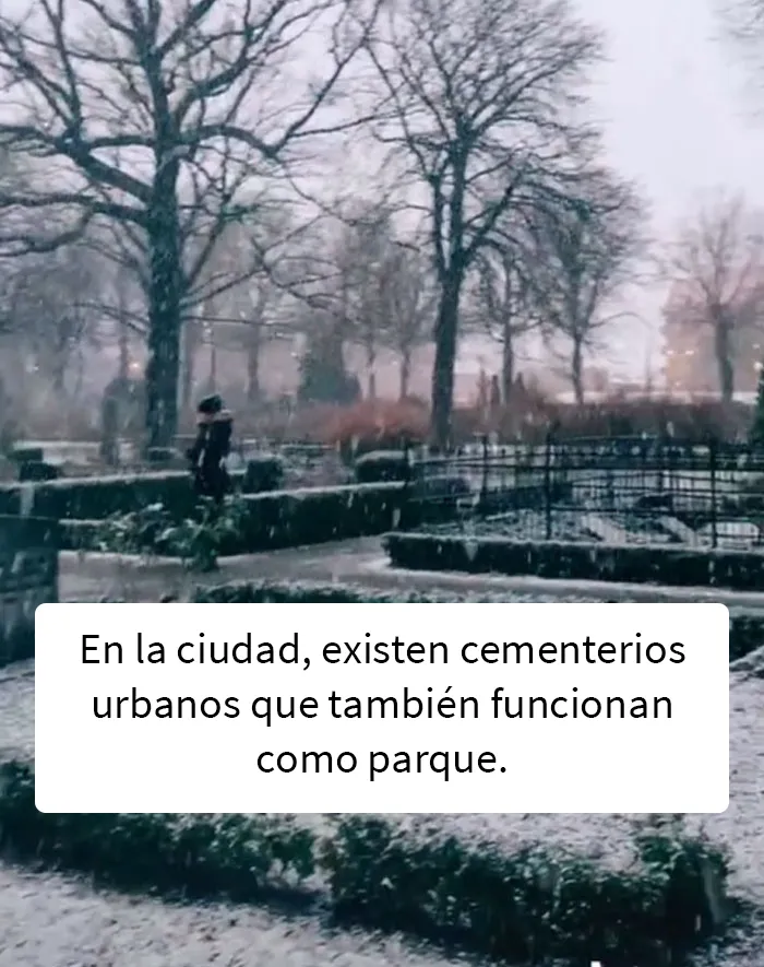 Esta mujer canadiense relata 15 de los impactos culturales más sorprendentes que experimentó al mudarse a Suecia