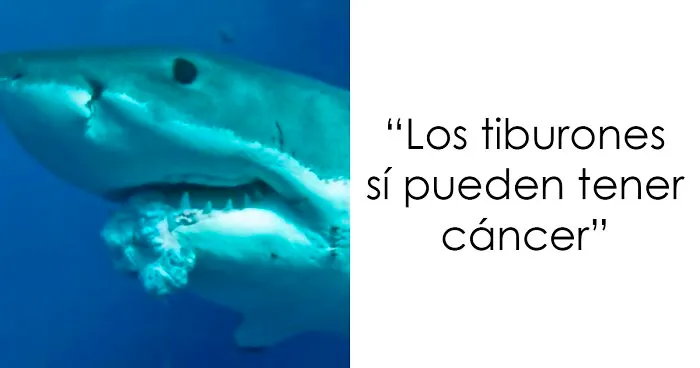 20 "Datos" molestos en los que la gente tiene que dejar de creer al fin