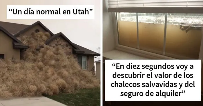 40 veces que la naturaleza hizo que la gente dijera "bueno, eso apesta"