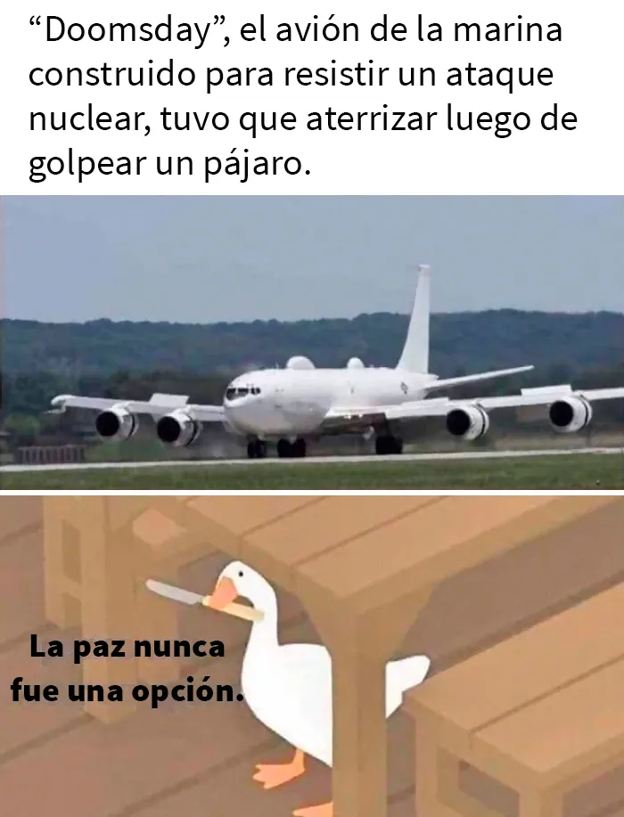 ¿Qué cerebro de pájaro diseñó esto?