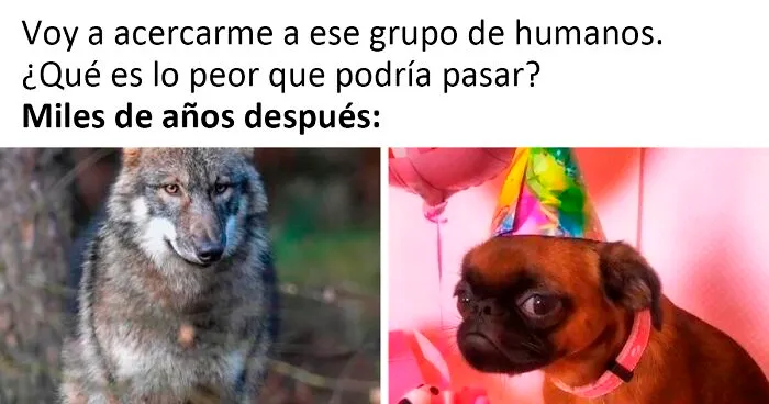 20 Imágenes divertidas que demuestran que la mejor manera de aprender historia es a través de los memes