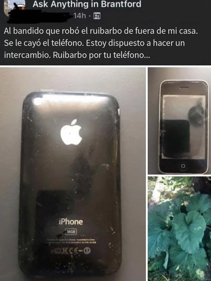 15 Personas que descubrieron anuncios sospechosos en Facebook Marketplace y los compartieron