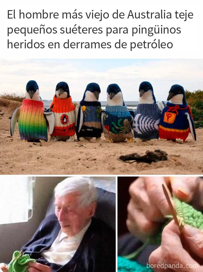 20 Publicaciones de este grupo "super reconfortante" que sólo dan buenas vibraciones