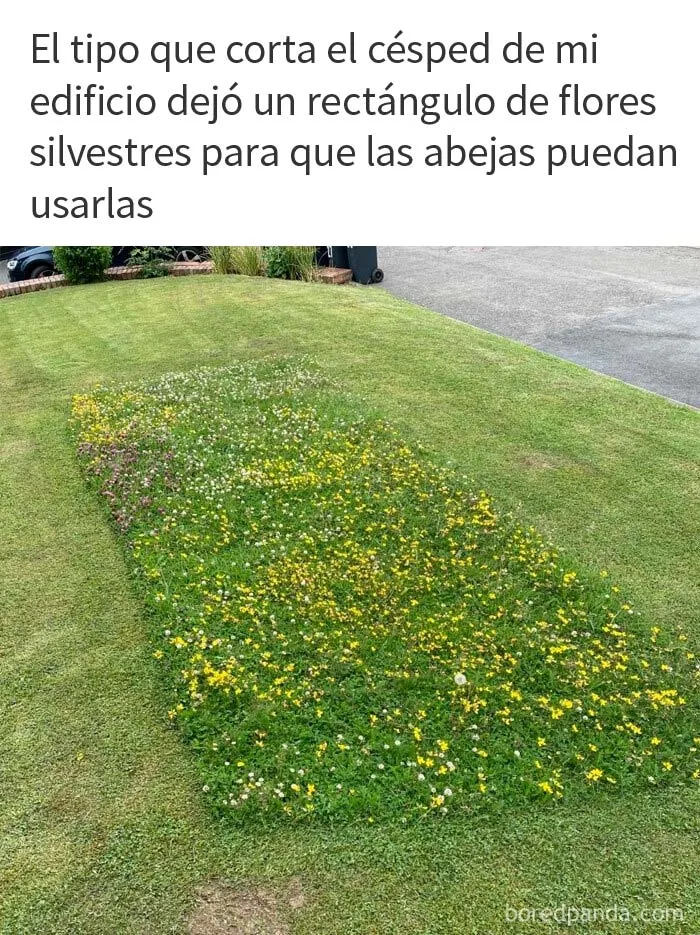 20 Publicaciones de este grupo "super reconfortante" que sólo dan buenas vibraciones