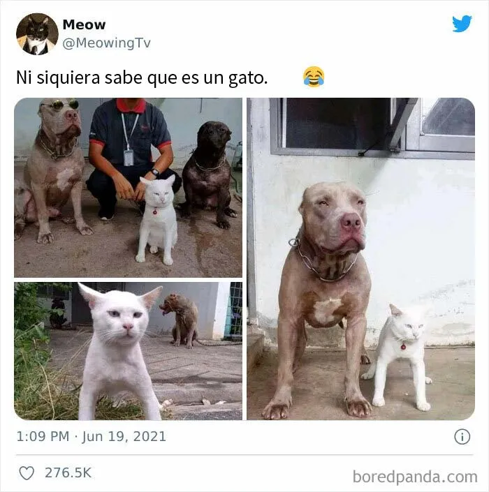 20 Publicaciones de este grupo "super reconfortante" que sólo dan buenas vibraciones