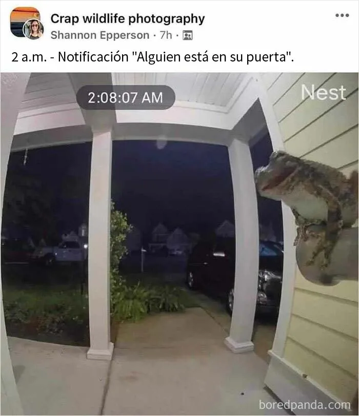 20 Publicaciones de este grupo "super reconfortante" que sólo dan buenas vibraciones