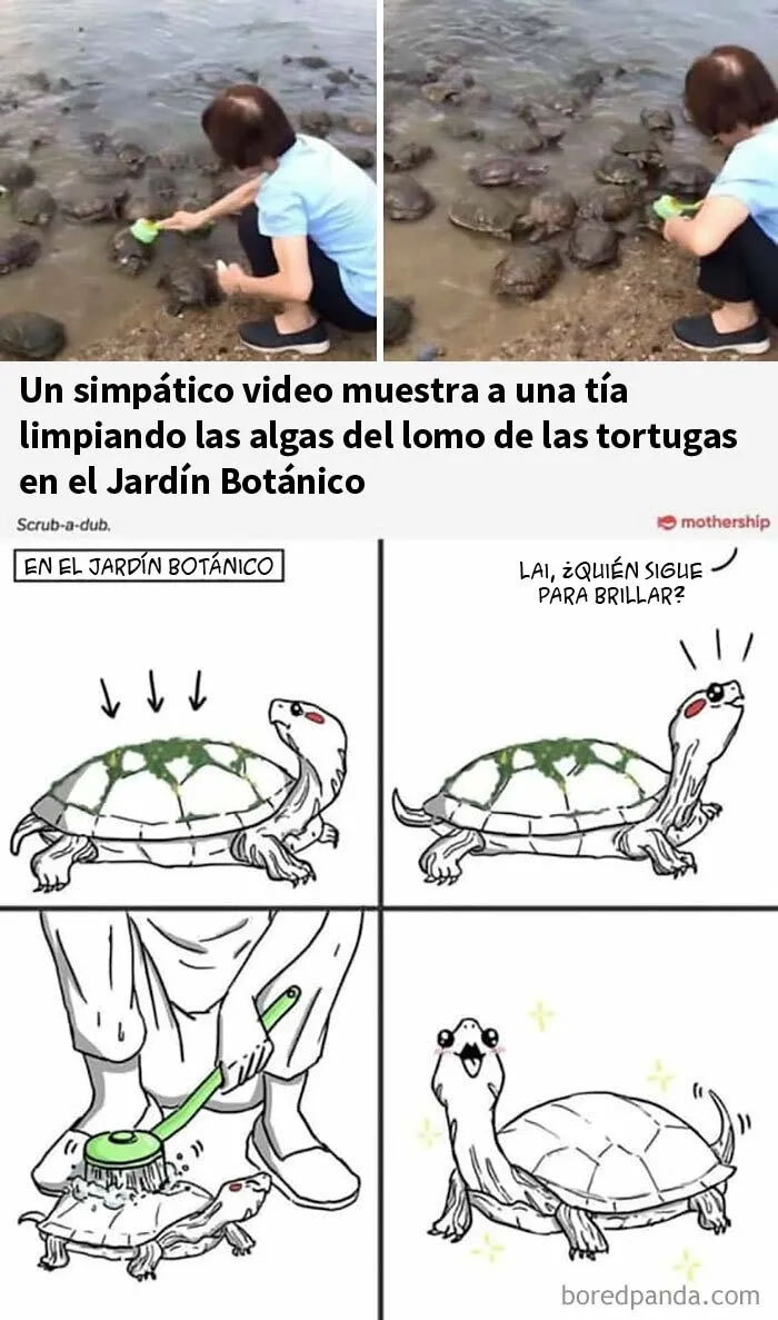 20 Publicaciones de este grupo "super reconfortante" que sólo dan buenas vibraciones