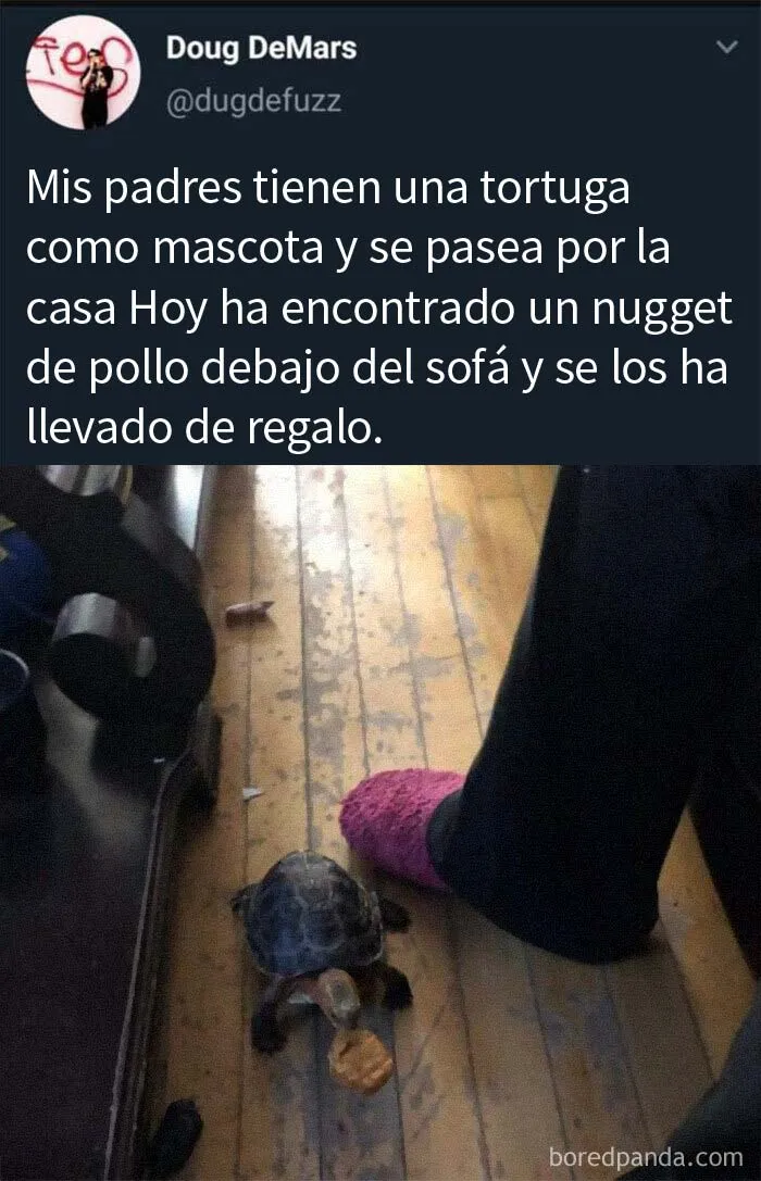 20 Publicaciones de este grupo "super reconfortante" que sólo dan buenas vibraciones
