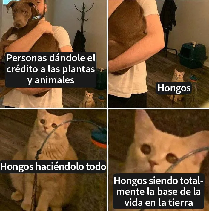 18 Ingeniosos memes científicos que combinan perfectamente humor y conocimiento
