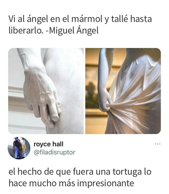 Tortuga Ninja Mutante