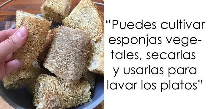 37 Trucos y consejos para generar "cero residuos", para quienes se preocupan por el medio ambiente