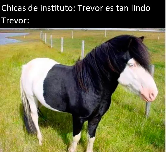 Tienes que amar a Trevor, el Pony Emo