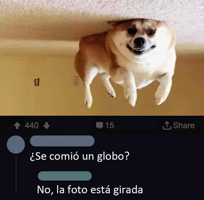 La gravedad. Funciona de manera asombrosa... Oh