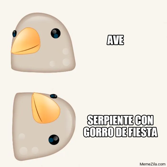 25 De los mejores memes de pájaros publicados en Internet