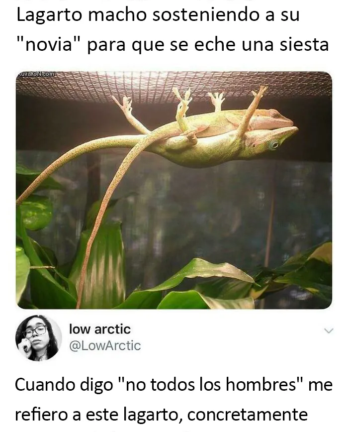 Un hombre de verdad. Tomad nota, idiotas