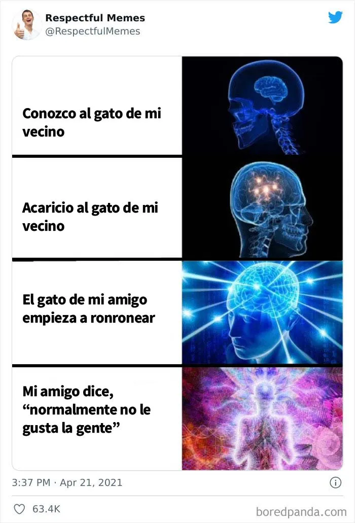 Esta cuenta de Twitter recoge sólo los memes más respetables, aquí están 20 de los mejores
